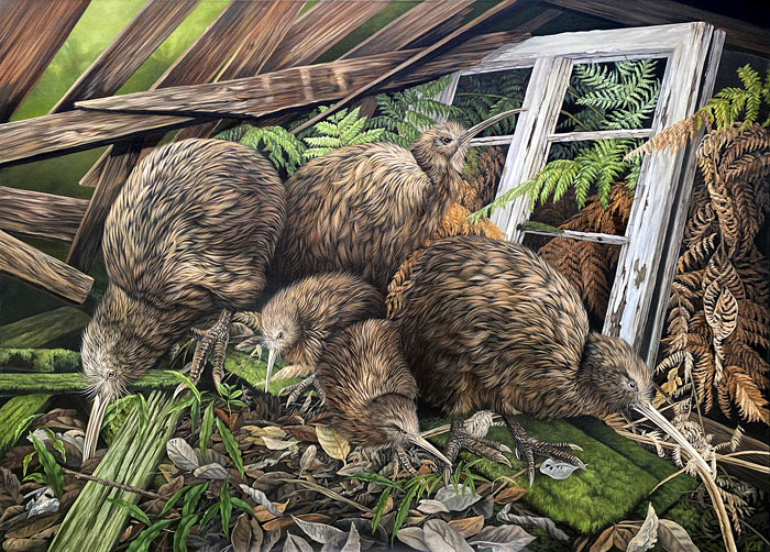 Craig Platt nz bird painting artist, Kiwi, oil painting